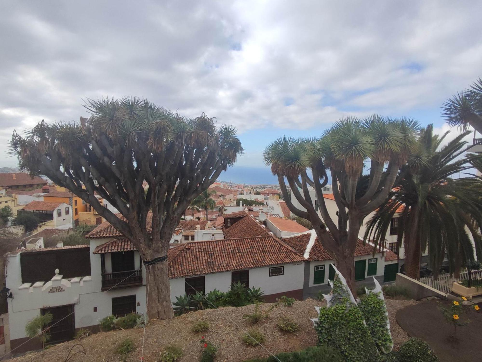 Casa Ruth Centro Orotava Apartment La Orotava Bilik gambar